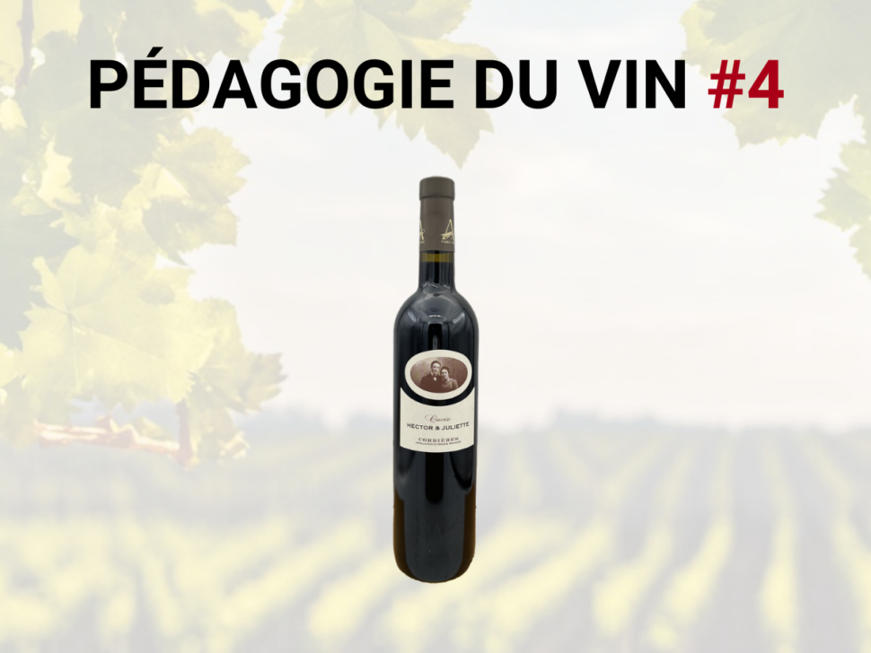 Pedagogie-du-vin-4