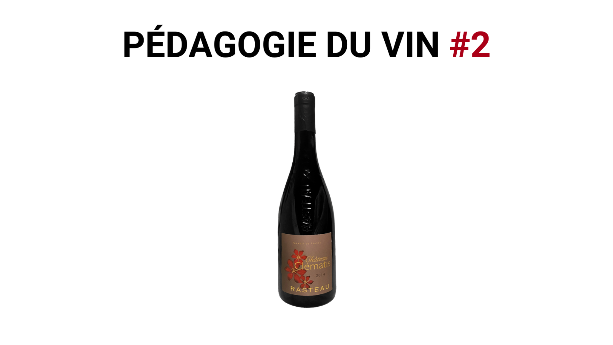 Pedagogie-du-vin-2