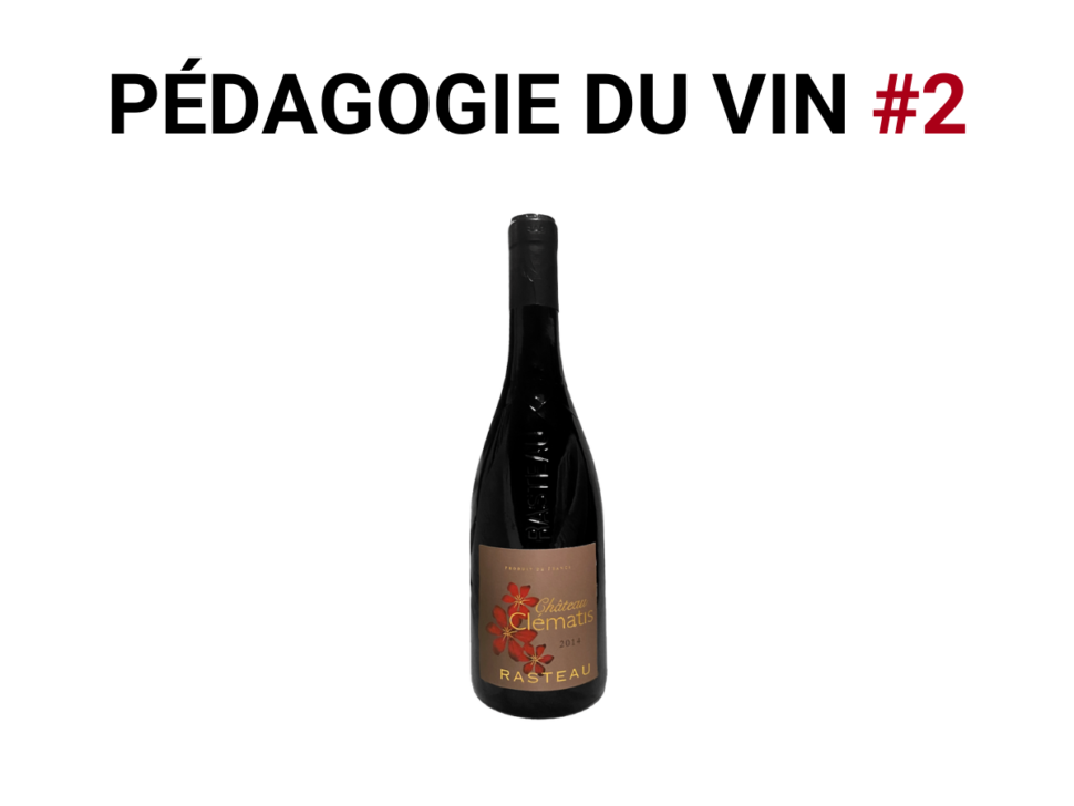 Pedagogie-du-vin-2