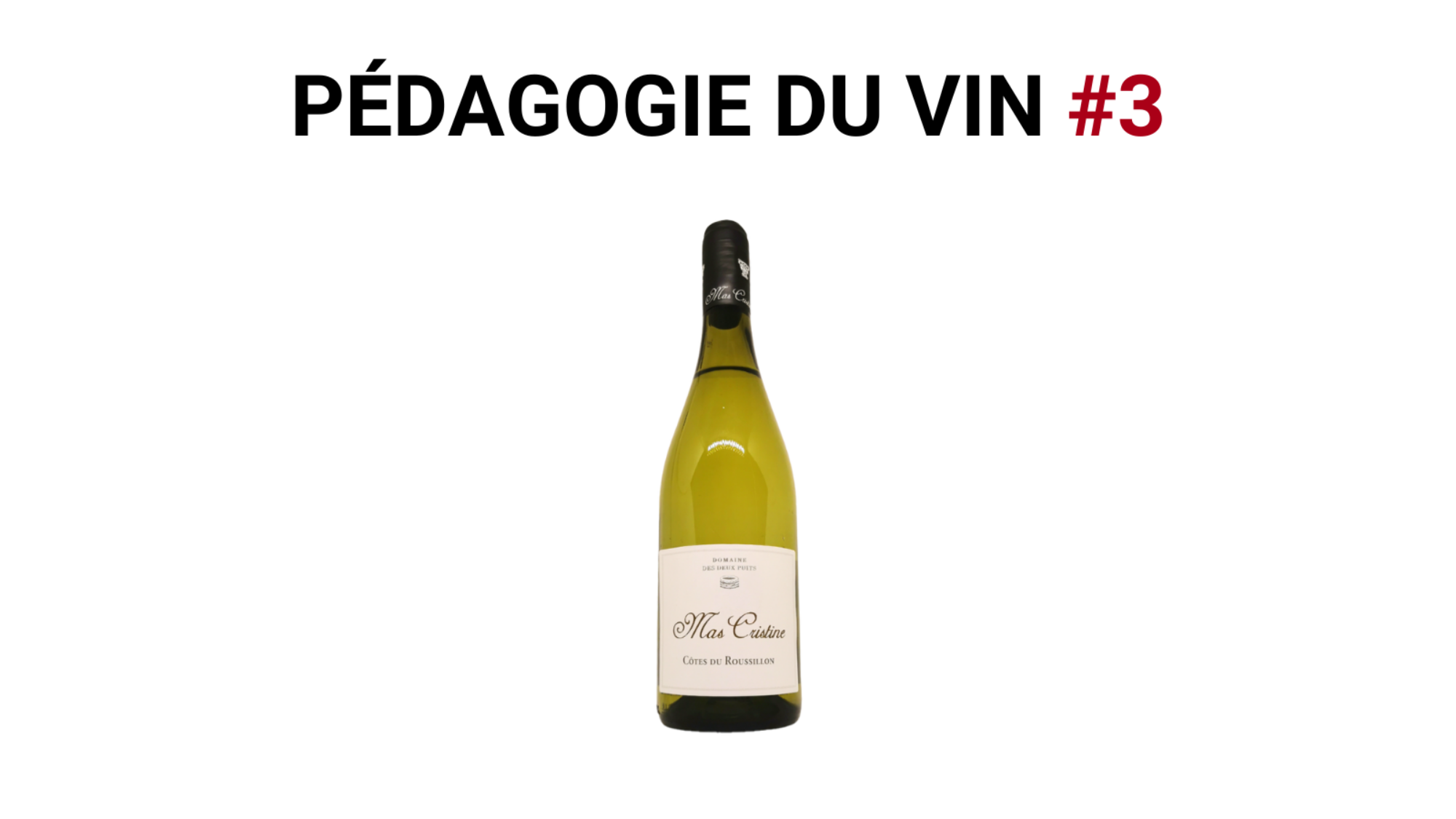 Pedagogie-du-vin-3