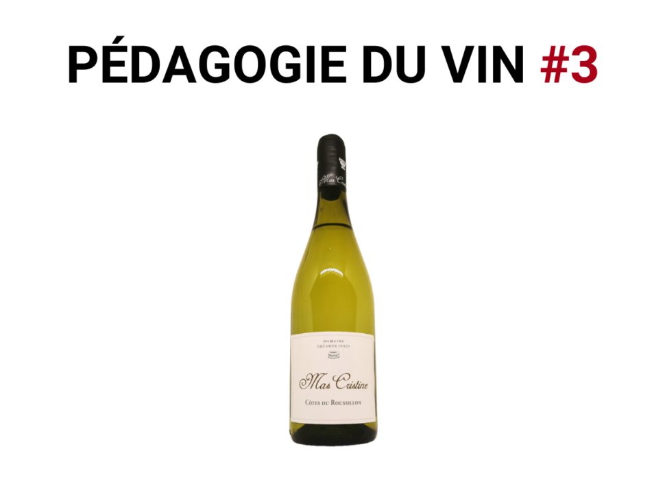 Pedagogie-du-vin-3